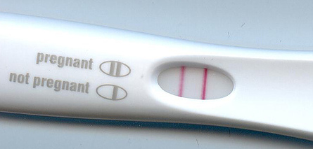 Maryland unplanned pregnancy adoption